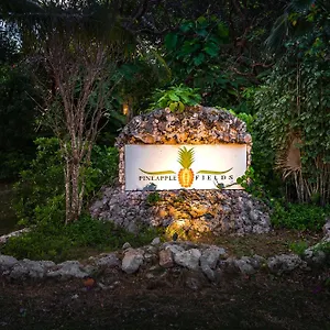 4* Appart hôtel Pineapple Fields